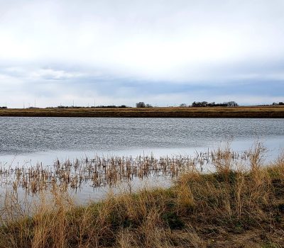 Wetland